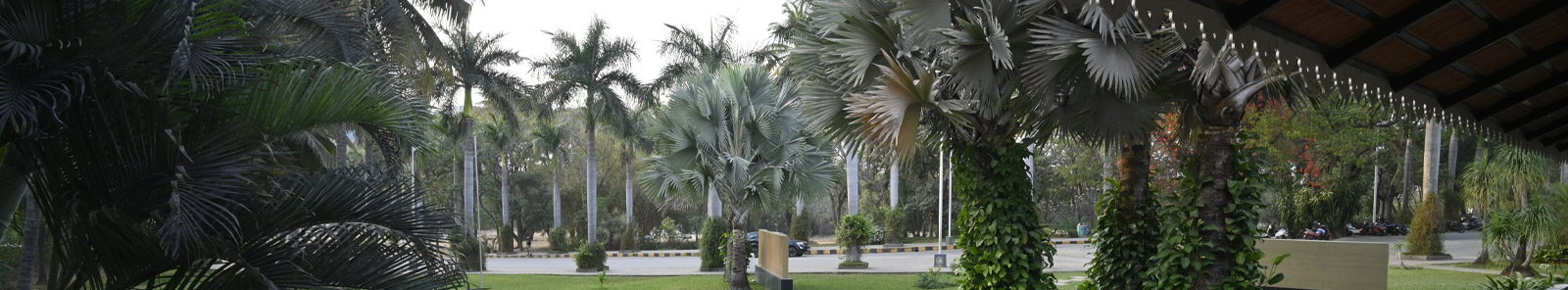 Best University in Bangalore