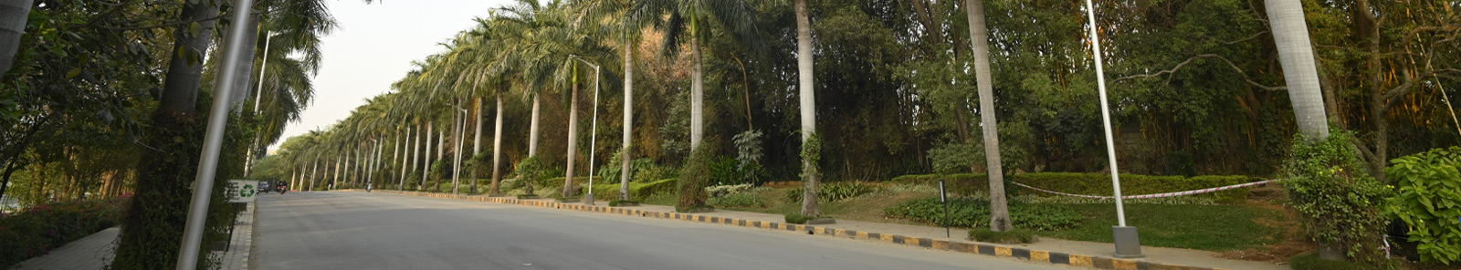 Best University in Bangalore